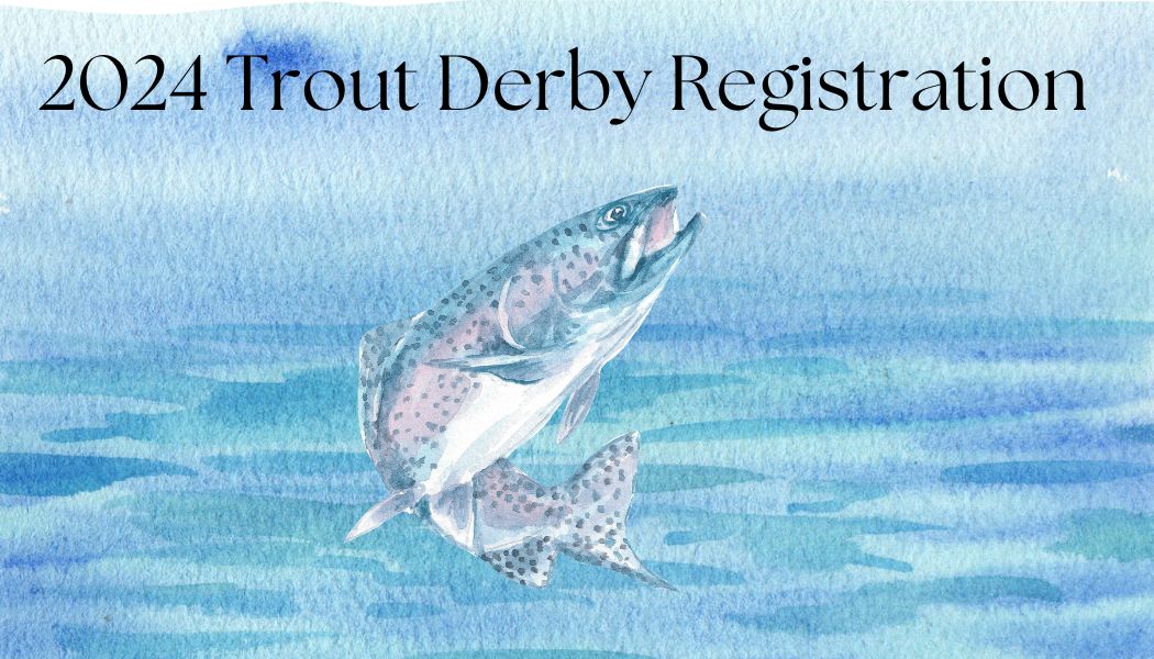 2024 Trout Derby Registration Wellsville Lions Club